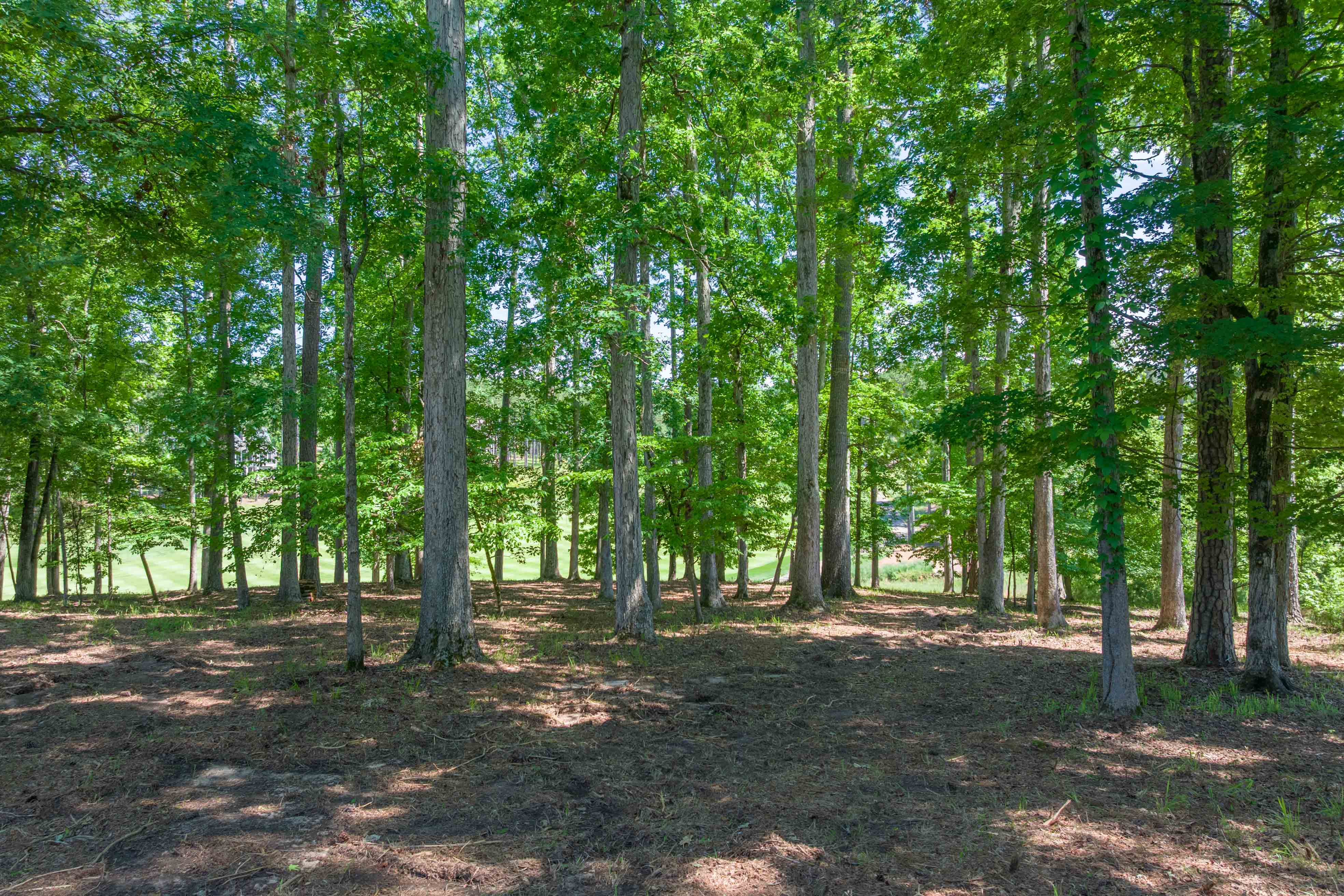 1040 Bunker Bend image 6
